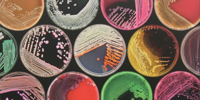 کشت باکتری در محیط جامد چگونه است؟