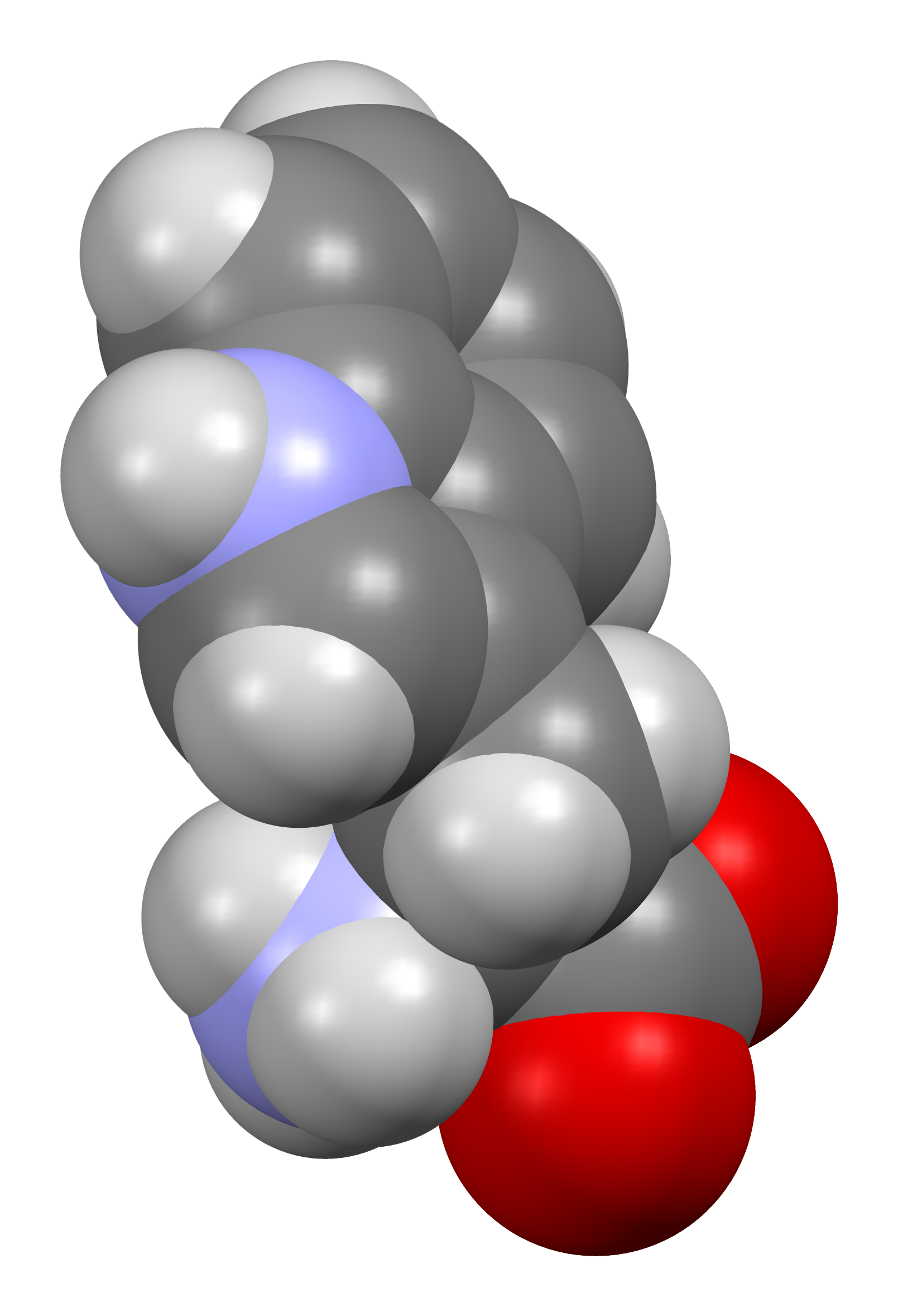محیط کشت Tryptophan Medium چیست؟