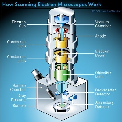 میکروسکوپ الکترونی روبشی(SEM)